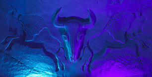 bull